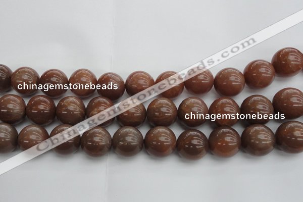 CMS1027 15.5 inches 18mm round AA grade moonstone gemstone beads