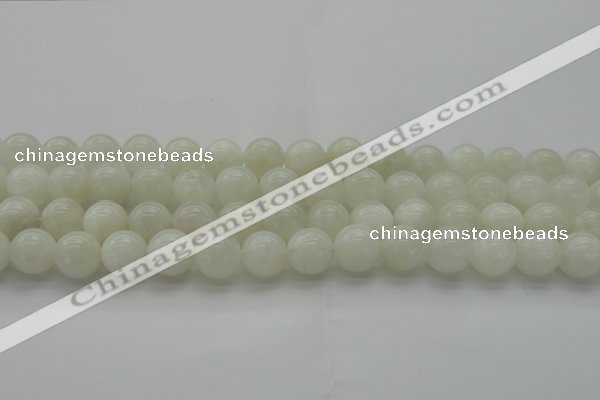 CMS1031 15.5 inches 6mm round A grade white moonstone beads