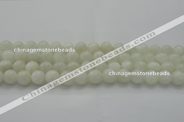 CMS1032 15.5 inches 8mm round A grade white moonstone beads