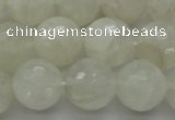 CMS1045 15.5 inches 14mm faceted round A grade white moonstone beads