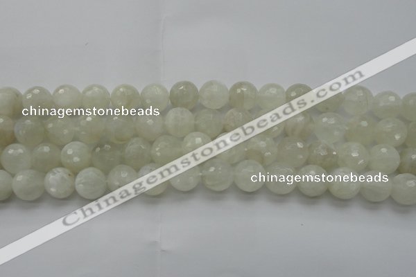 CMS1045 15.5 inches 14mm faceted round A grade white moonstone beads