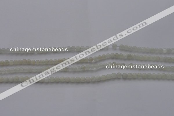 CMS1050 15.5 inches 4mm round grey moonstone beads wholesale