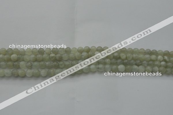 CMS1051 15.5 inches 6mm round grey moonstone beads wholesale