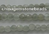 CMS1054 15.5 inches 4mm faceted round grey moonstone beads wholesale