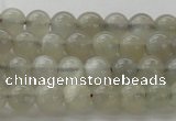 CMS1057 15.5 inches 6mm round grey moonstone beads wholesale