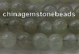 CMS1058 15.5 inches 8mm round grey moonstone beads wholesale