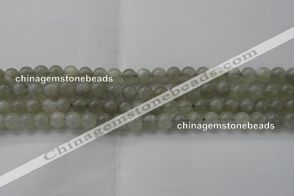 CMS1058 15.5 inches 8mm round grey moonstone beads wholesale