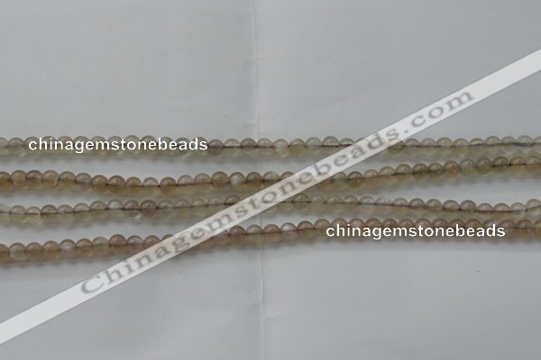 CMS1063 15.5 inches 4mm round grey moonstone beads wholesale