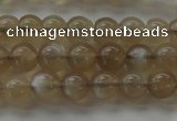 CMS1064 15.5 inches 6mm round grey moonstone beads wholesale