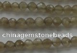 CMS1066 15.5 inches 4mm faceted round grey moonstone beads wholesale