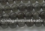 CMS1071 15.5 inches 6mm round grey moonstone beads wholesale