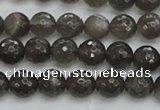 CMS1075 15.5 inches 6mm faceted round grey moonstone beads wholesale