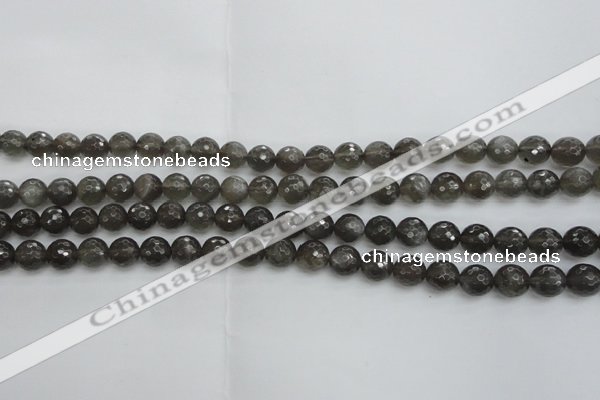 CMS1075 15.5 inches 6mm faceted round grey moonstone beads wholesale