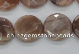 CMS113 15.5 inches 20mm faceted coin moonstone gemstone beads