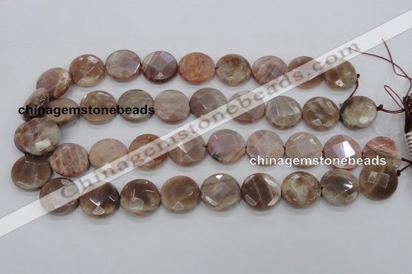 CMS113 15.5 inches 20mm faceted coin moonstone gemstone beads