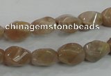 CMS118 15.5 inches 8*12mm twisted rice moonstone gemstone beads