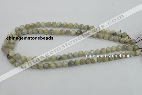 CMS120 15.5 inches 8mm round moonstone gemstone beads wholesale