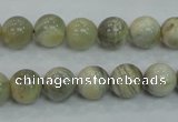 CMS121 15.5 inches 10mm round moonstone gemstone beads wholesale