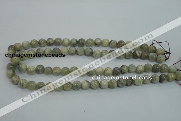 CMS121 15.5 inches 10mm round moonstone gemstone beads wholesale