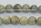 CMS122 15.5 inches 12mm round moonstone gemstone beads wholesale