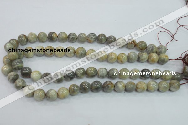 CMS122 15.5 inches 12mm round moonstone gemstone beads wholesale