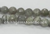 CMS124 15.5 inches 10mm faceted round moonstone gemstone beads