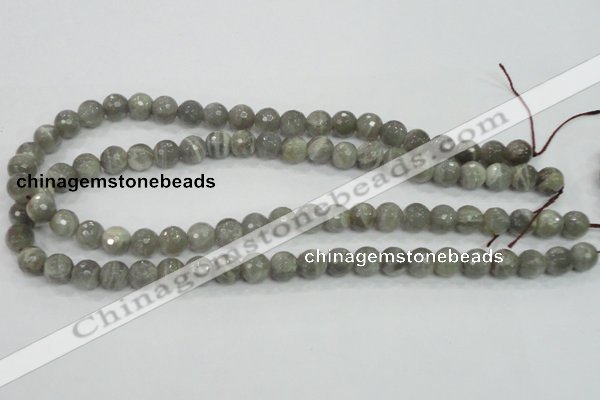 CMS124 15.5 inches 10mm faceted round moonstone gemstone beads