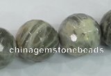 CMS127 15.5 inches 20mm faceted round moonstone gemstone beads