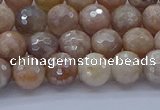 CMS1301 15.5 inches 6mm faceted round AB-color moonstone beads