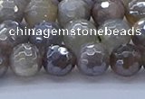 CMS1312 15.5 inches 8mm faceted round AB-color grey moonstone beads