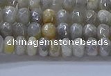 CMS1331 15.5 inches 4*6mm faceted rondelle AB-color grey moonstone beads