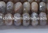 CMS1333 15.5 inches 6*10mm faceted rondelle AB-color grey moonstone beads