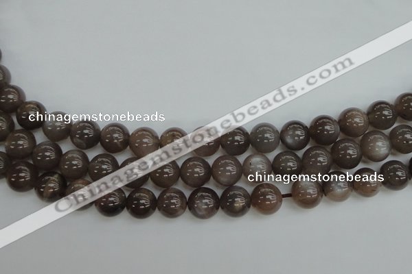 CMS142 15.5 inches 8mm round natural grey moonstone beads