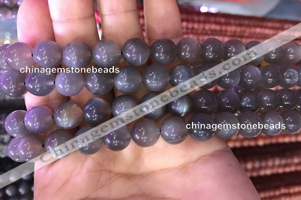 CMS1422 15.5 inches 8mm round black moonstone beads wholesale