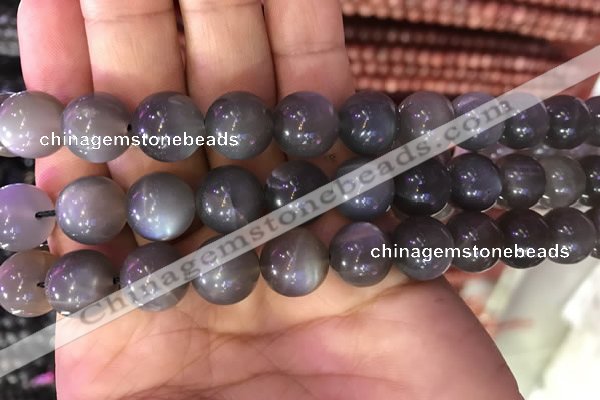 CMS1424 15.5 inches 12mm round black moonstone beads wholesale