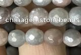 CMS1456 15.5 inches 6mm faceted round AB-color moonstone beads