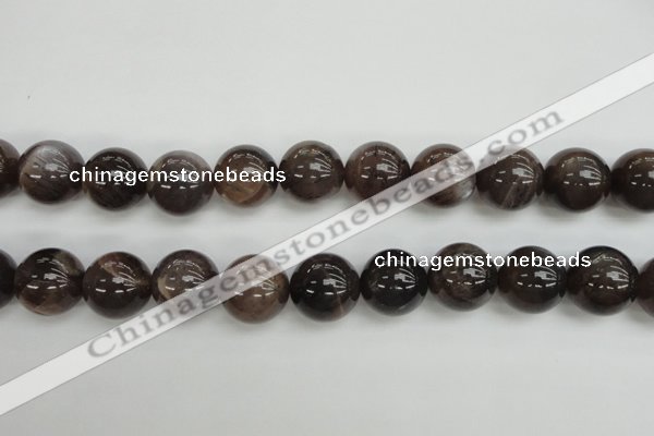 CMS147 15.5 inches 14mm round natural grey moonstone beads