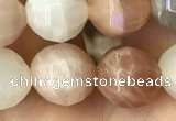 CMS1472 15.5 inches 10mm faceted round moonstone beads wholesale