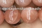CMS1478 15.5 inches 12mm round moonstone beads wholesale