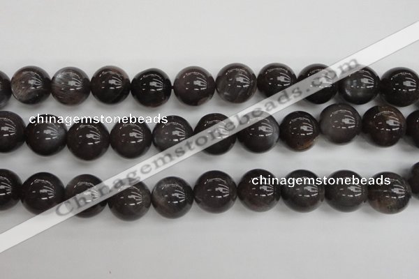 CMS148 15.5 inches 14mm round natural grey moonstone beads