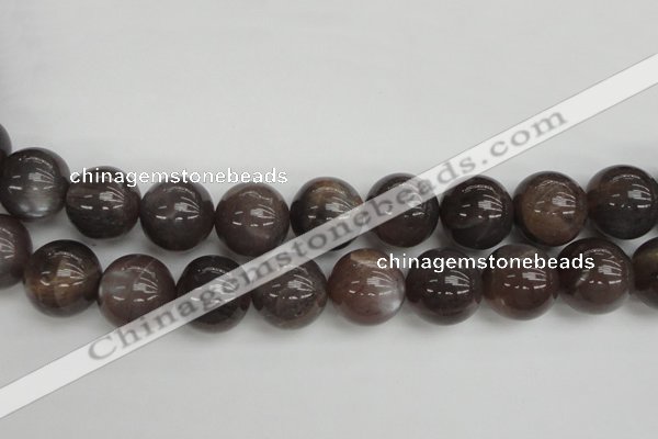 CMS149 15.5 inches 16mm round natural grey moonstone beads