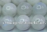 CMS1492 15.5 inches 10mm round white moonstone beads wholesale