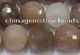 CMS1498 15.5 inches 10mmm faceted round rainbow moonstone beads