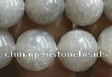 CMS1653 15.5 inches 10mm round grey moonstone beads wholesale