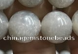 CMS1654 15.5 inches 12mm round grey moonstone beads wholesale