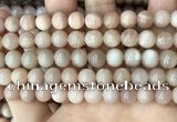 CMS1672 15.5 inches 8mm round moonstone beads wholesale