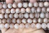 CMS1673 15.5 inches 10mm round moonstone beads wholesale