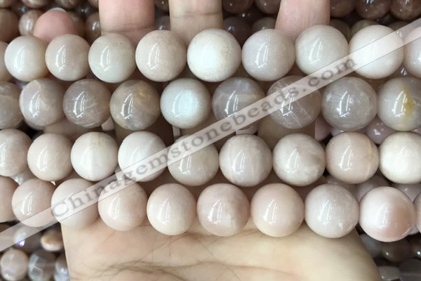 CMS1675 15.5 inches 14mm round moonstone beads wholesale