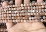 CMS1677 15.5 inches 4mm faceted round moonstone beads wholesale