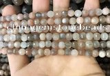 CMS1691 15.5 inches 4mm faceted round rainbow moonstone beads